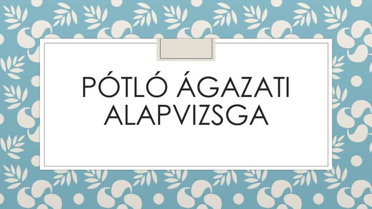 Pótló ágazati vizsga
